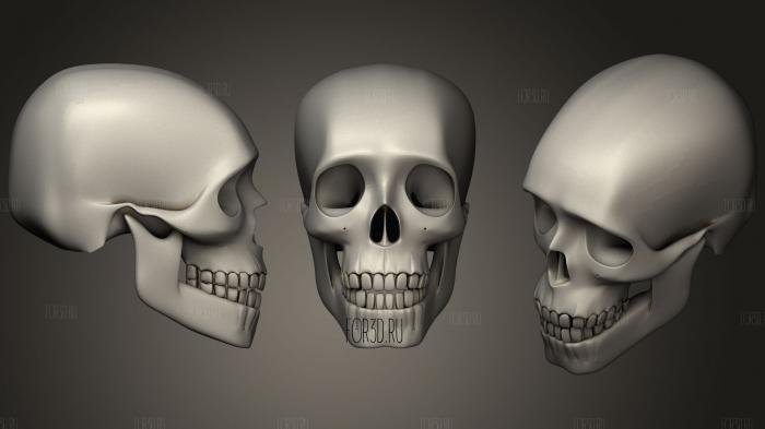Skull 21 stl model for CNC